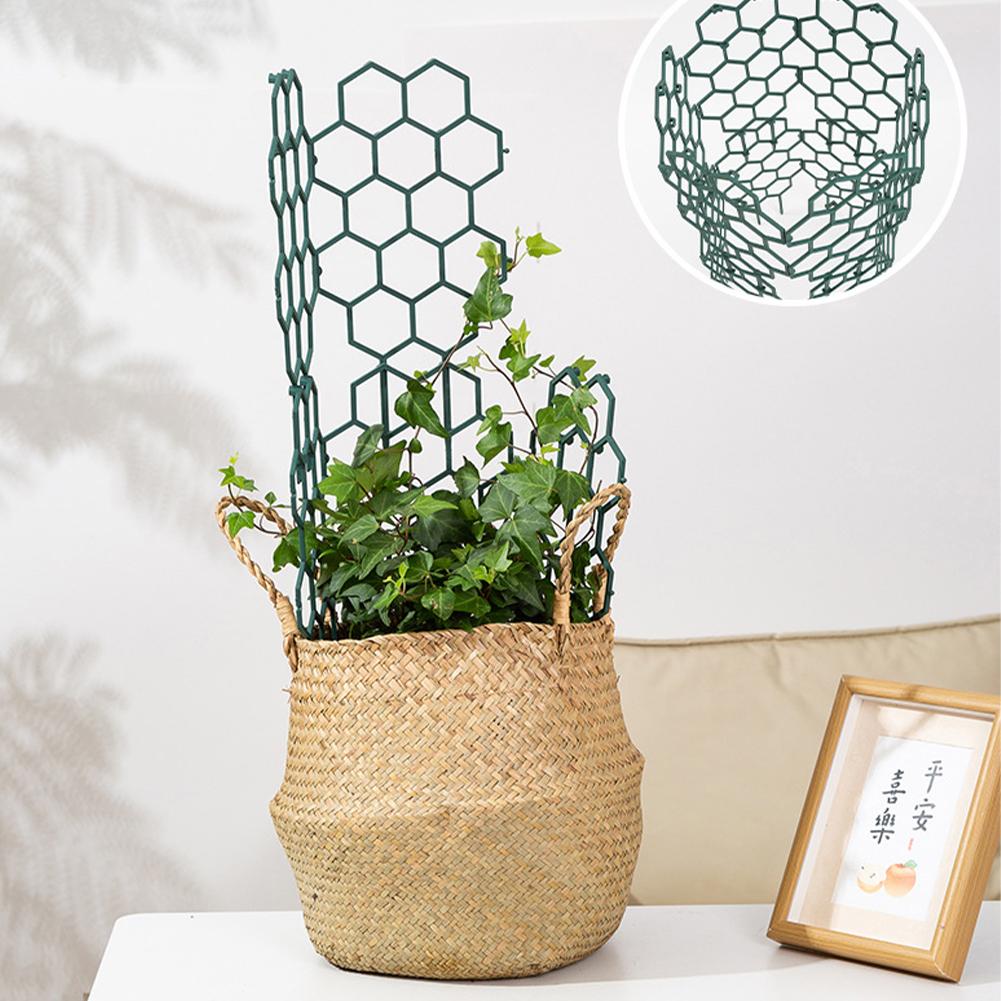 1/2/5Pcs Plastic Plant Support - đánh giá và giá Plant Parent Tools