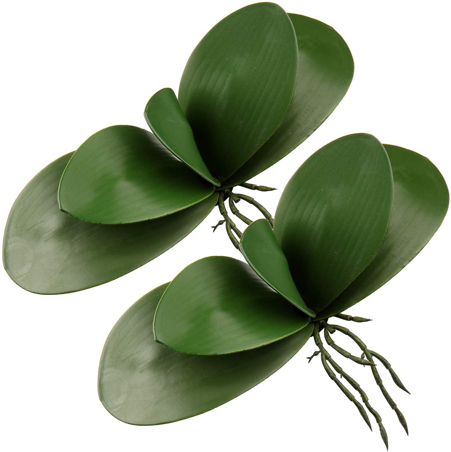 Artificial Phalaenopsis Leaves - đánh giá và giá Orchid Phalaenopsis