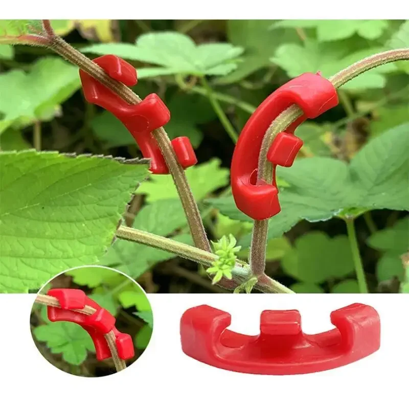 10-100Pcs 90 Degree Plant Bend - đánh giá và giá Plant Parent Tools