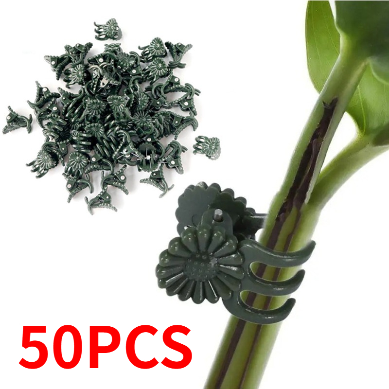 50PCS 5-Claw Dark Green Plant  - đánh giá và giá Plant Parent Tools