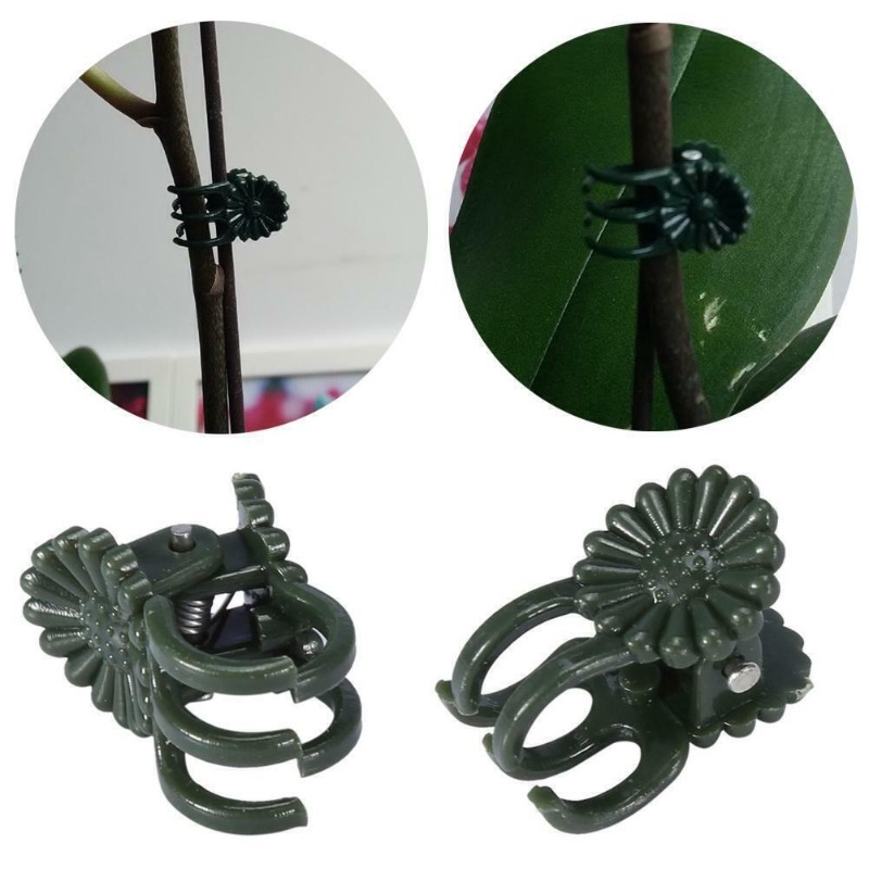 50PCS 5-Claw Dark Green Plant  - đánh giá và giá Plant Parent Tools