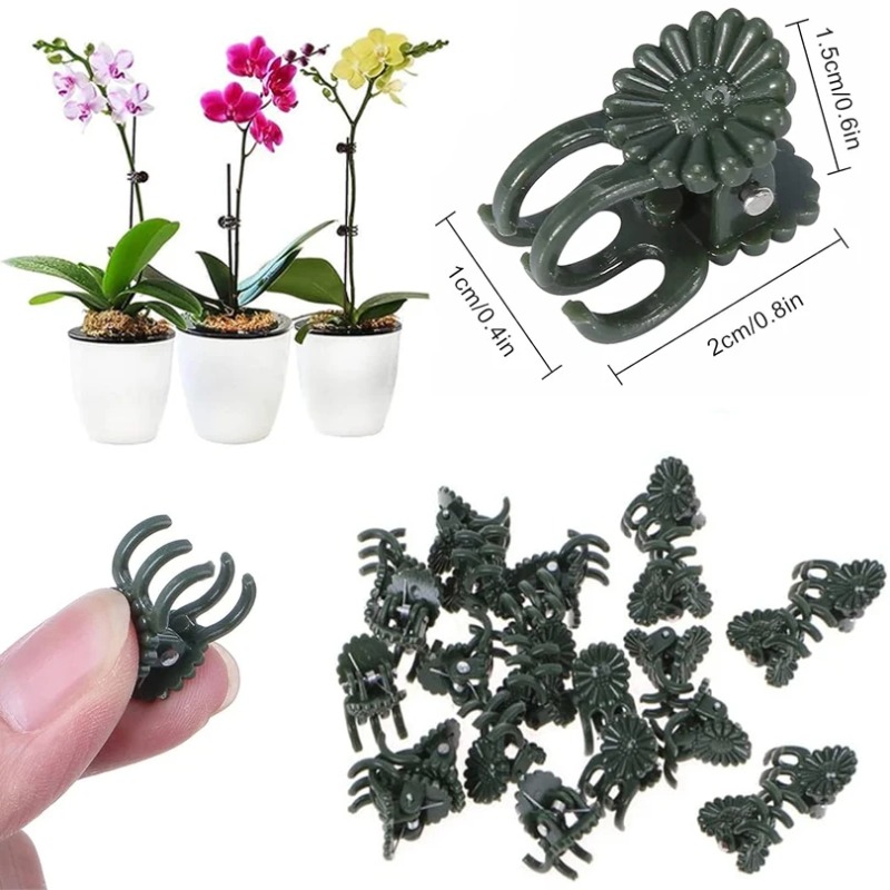 50PCS 5-Claw Dark Green Plant  - đánh giá và giá Plant Parent Tools
