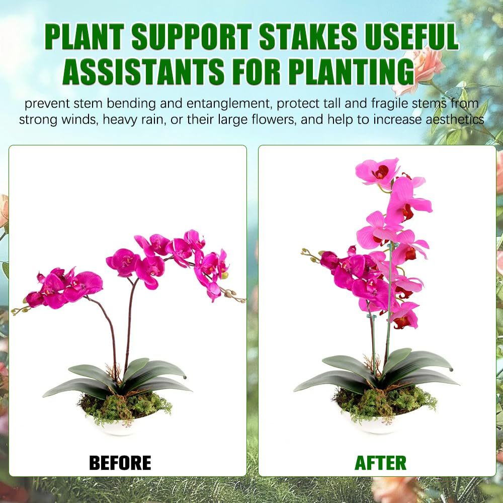 5/10PCS Plant Supports Stand B - đánh giá và giá Plant Parent Tools