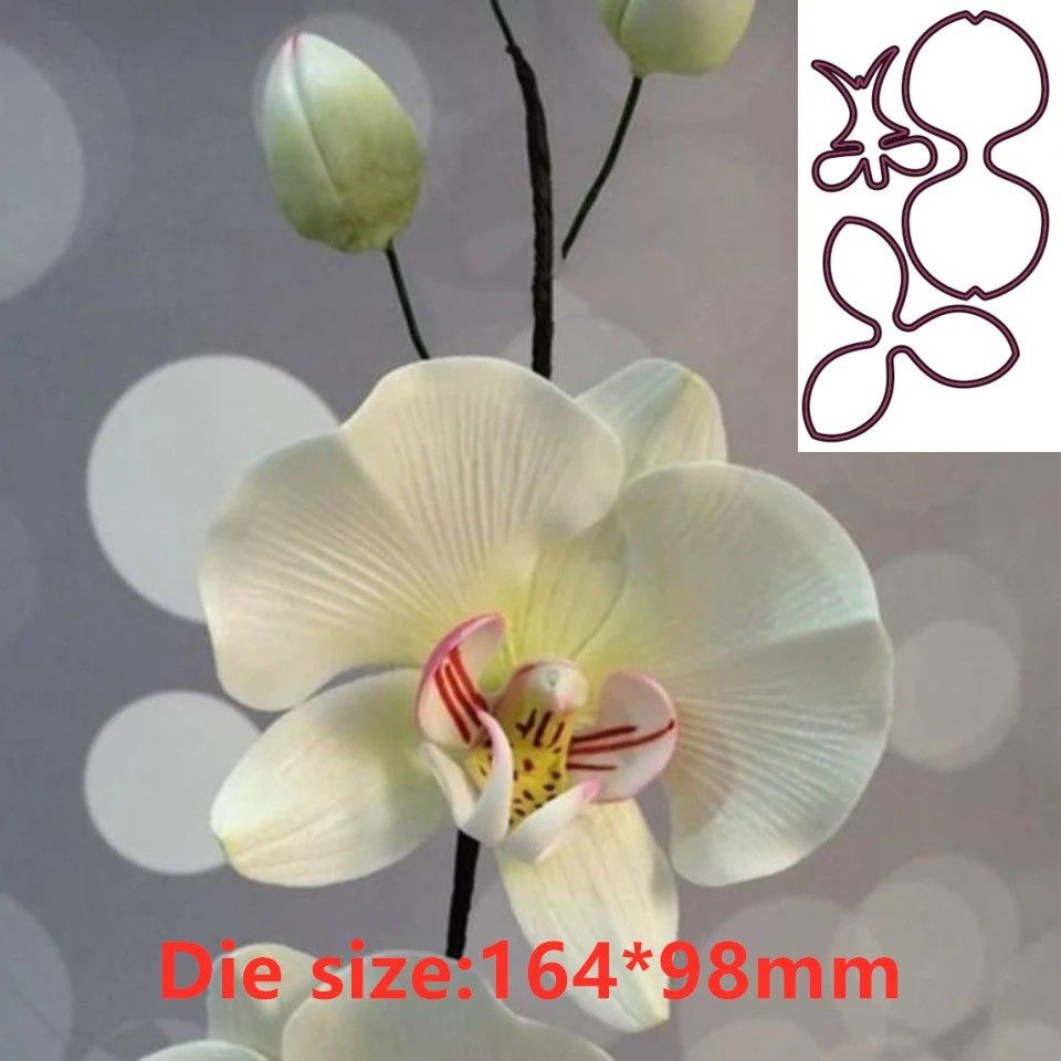 Orchid Flower Metal Cut Dies S - đánh giá và giá Orchid Phalaenopsis
