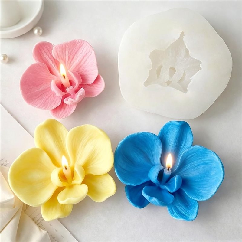 ABKP-For Fondant Chocolate Can - đánh giá và giá Orchid Phalaenopsis