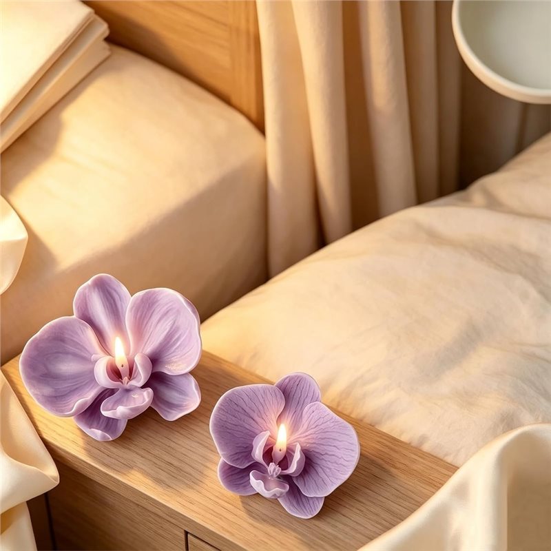 ABKP-For Fondant Chocolate Can - đánh giá và giá Orchid Phalaenopsis