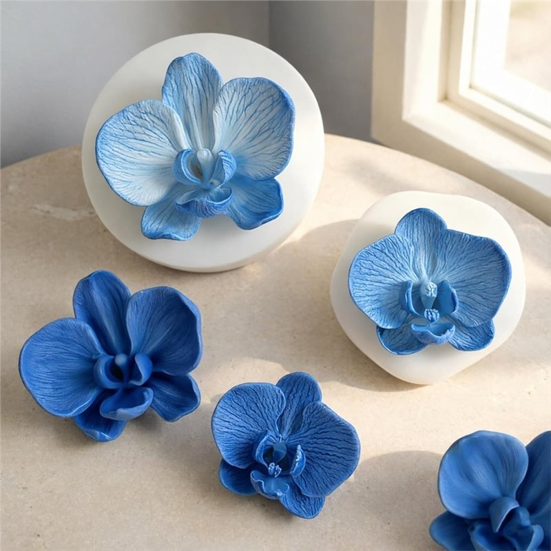 ABKP-For Fondant Chocolate Can - đánh giá và giá Orchid Phalaenopsis