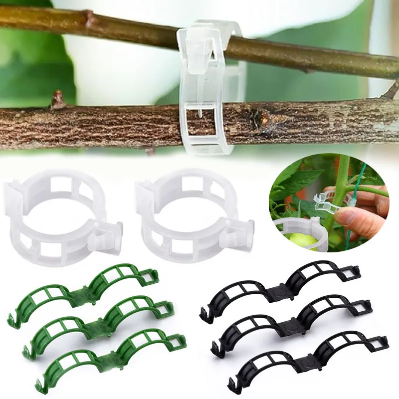 100PCS Plant Fixing Clips Reus - đánh giá và giá Plant Parent Tools