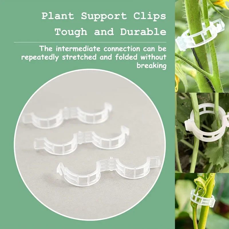 100PCS Plant Fixing Clips Reus - đánh giá và giá Plant Parent Tools