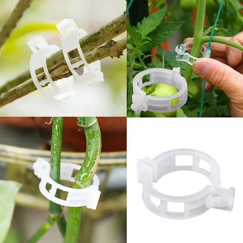 100PCS Plant Fixing Clips Reus - đánh giá và giá Plant Parent Tools