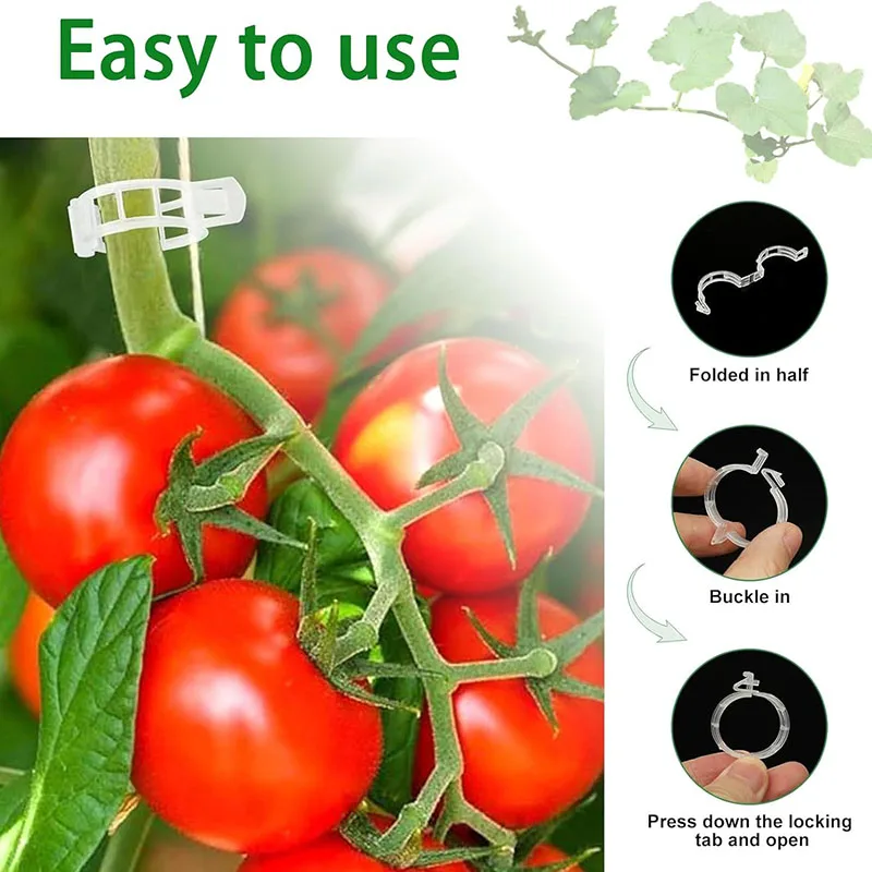 100PCS Plant Fixing Clips Reus - đánh giá và giá Plant Parent Tools
