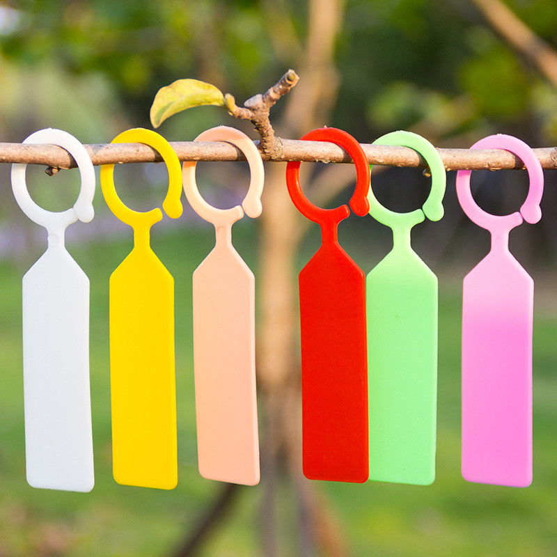 Bộ 50 Chống Nước Vật Có Nhãn N - đánh giá và giá Plant Parent Tools
