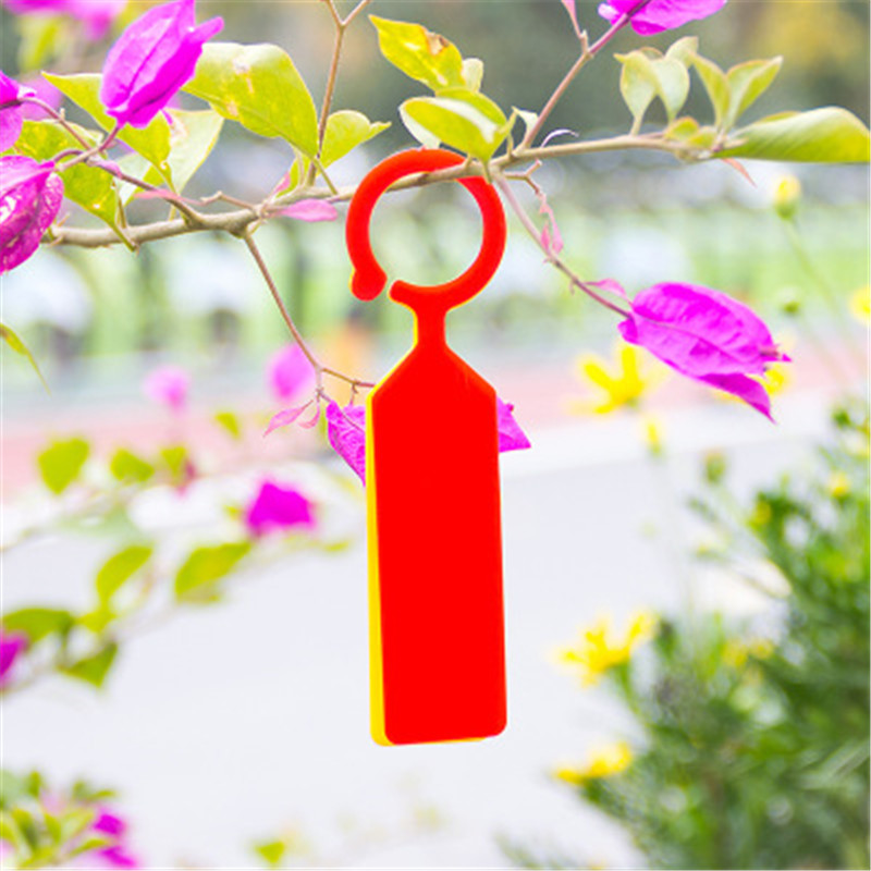 Bộ 50 Chống Nước Vật Có Nhãn N - đánh giá và giá Plant Parent Tools