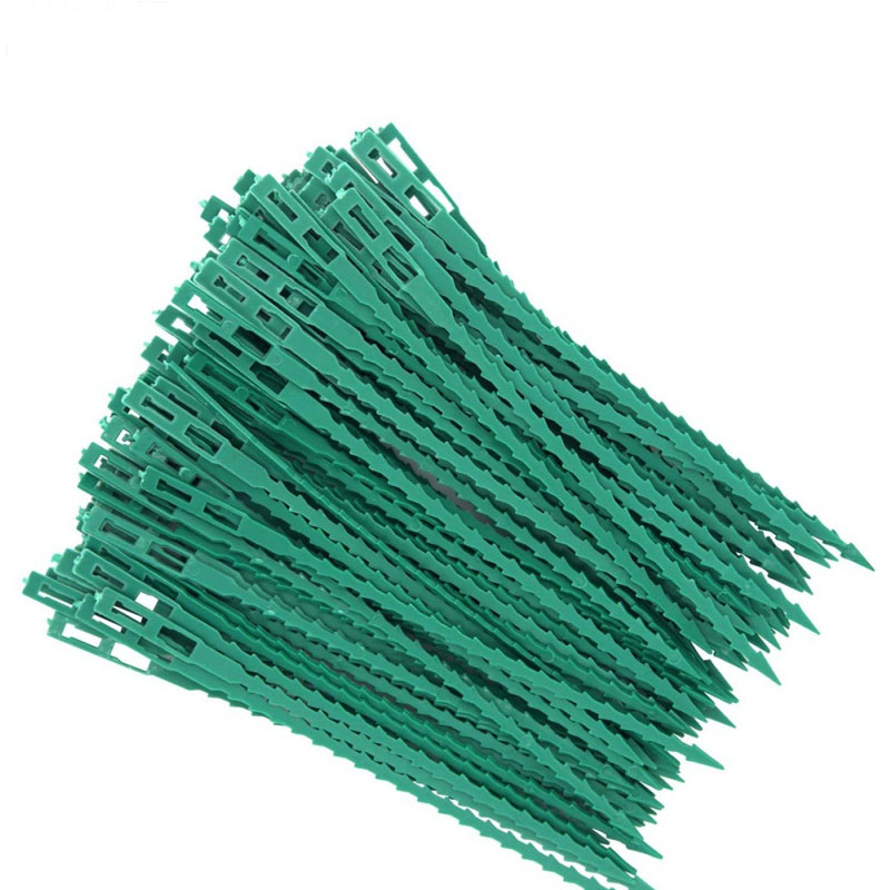 50/100Pcs Reusable Garden Cabl - đánh giá và giá Plant Parent Tools