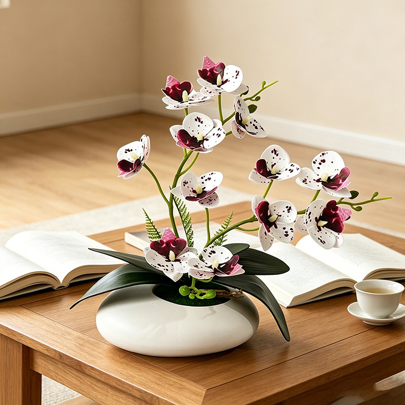 Butterfly Orchid 12 Flower Bon - đánh giá và giá Orchid Phalaenopsis