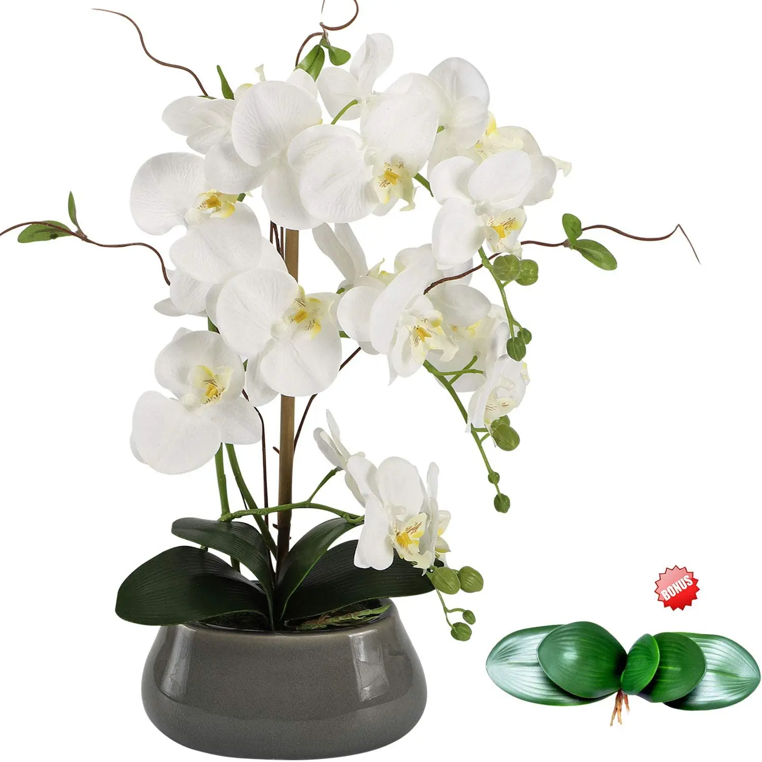 Artificial Orchid Flowers Cent - đánh giá và giá Orchid Phalaenopsis