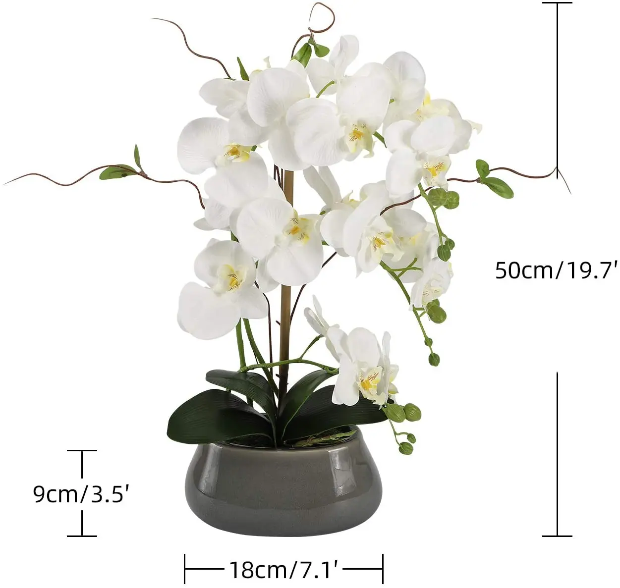 Artificial Orchid Flowers Cent - đánh giá và giá Orchid Phalaenopsis
