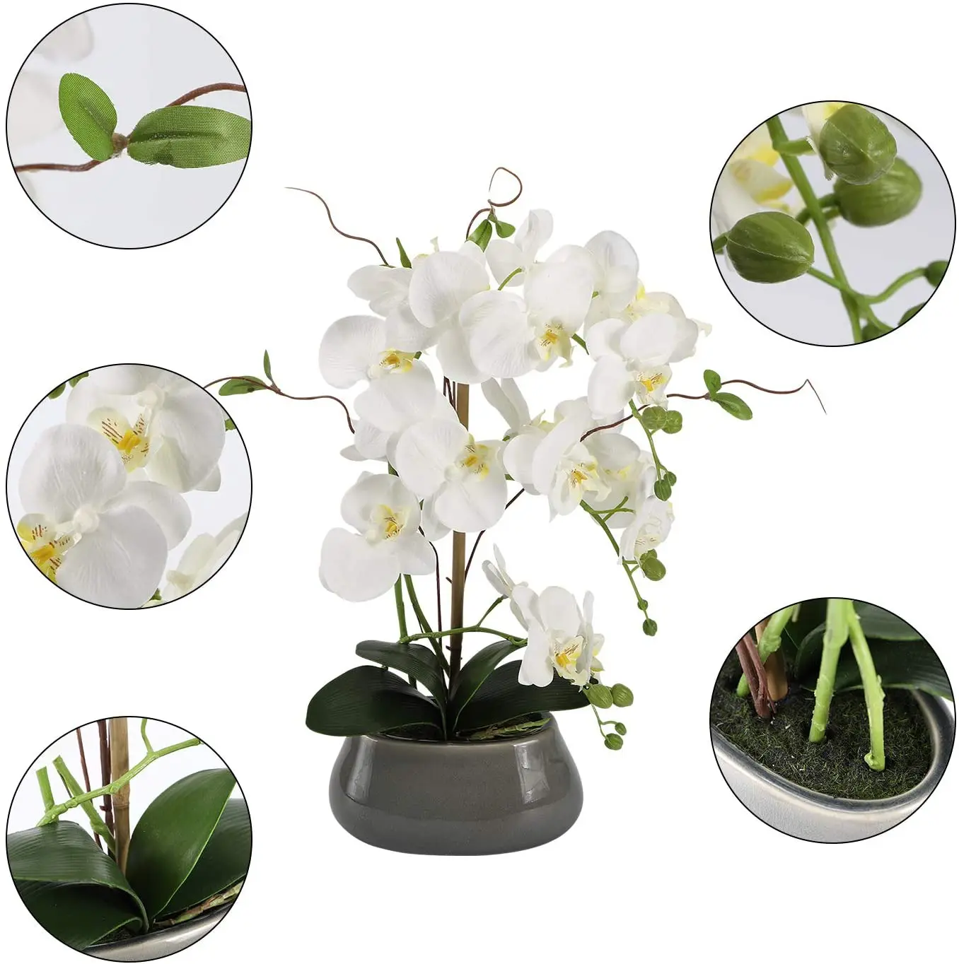 Artificial Orchid Flowers Cent - đánh giá và giá Orchid Phalaenopsis