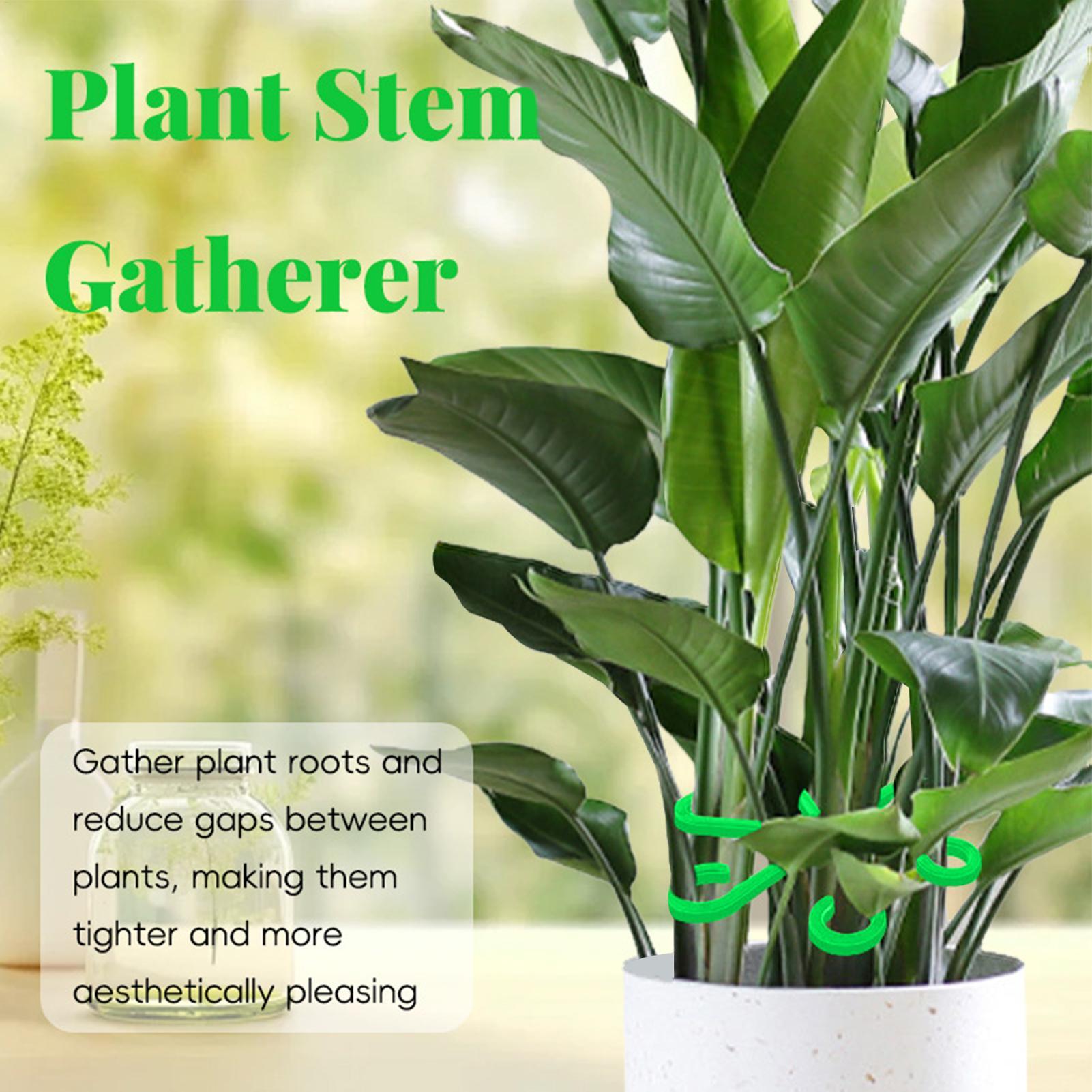 4pc Plant Fixing Clip Plant Cl - đánh giá và giá Plant Parent Tools