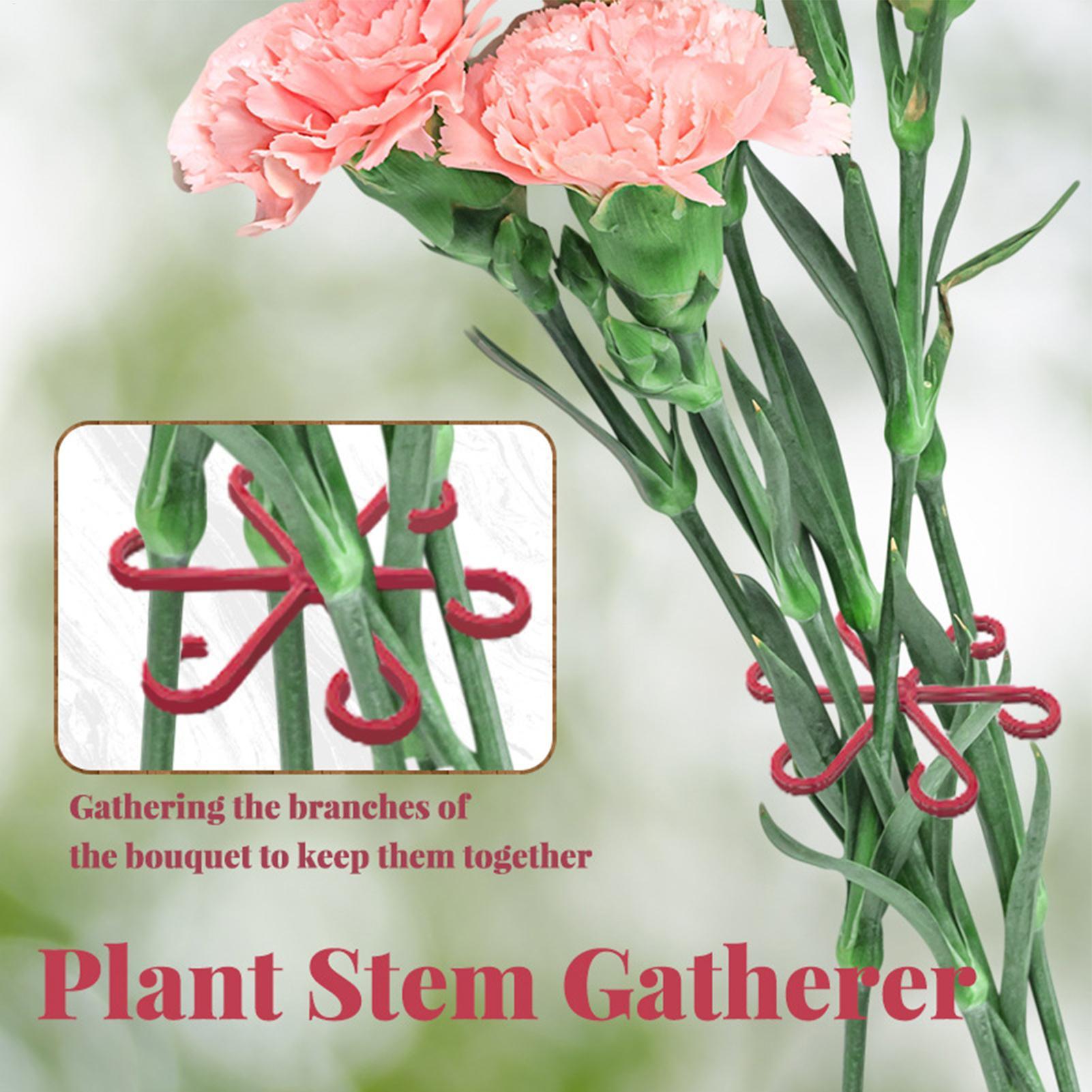 4pc Plant Fixing Clip Plant Cl - đánh giá và giá Plant Parent Tools
