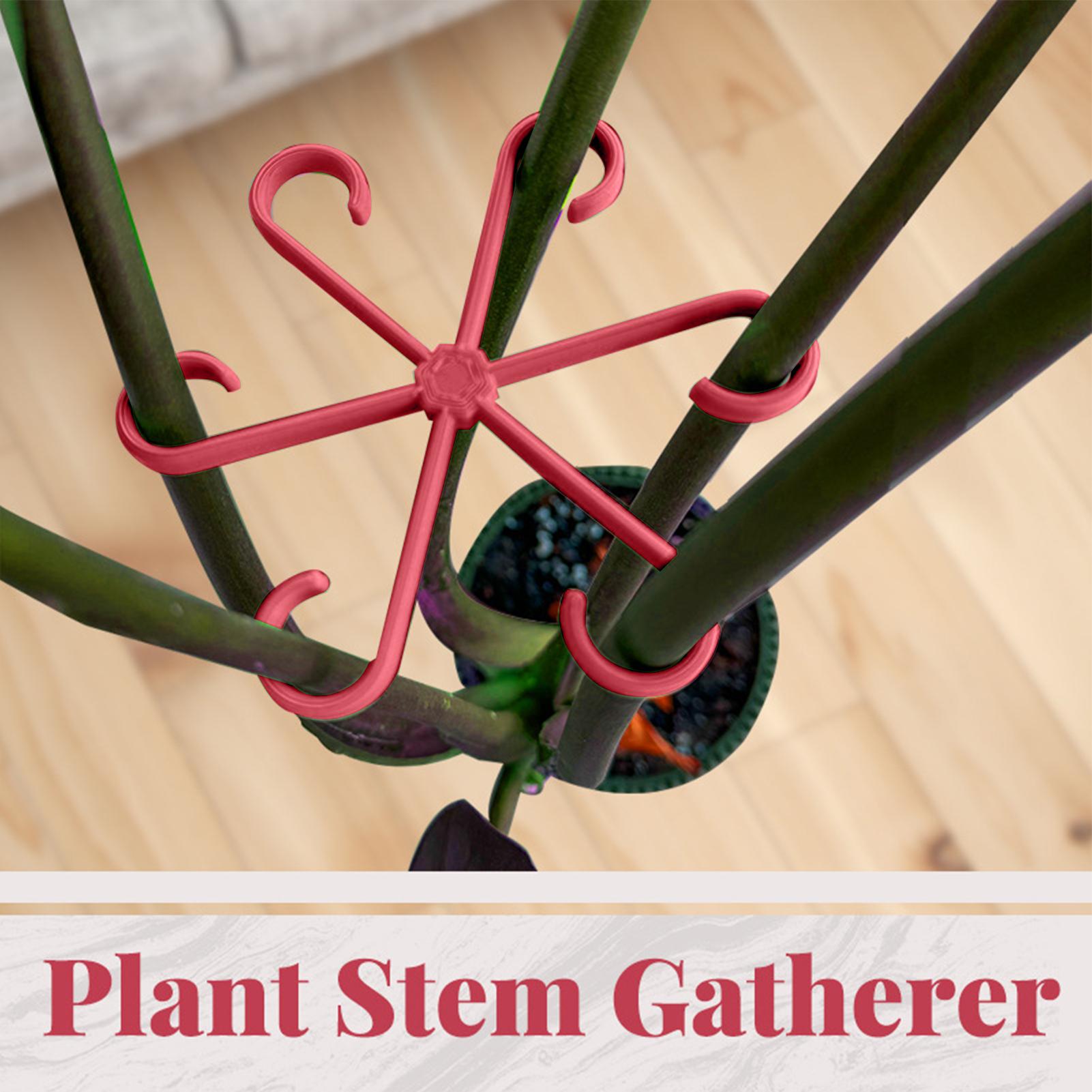 4pc Plant Fixing Clip Plant Cl - đánh giá và giá Plant Parent Tools