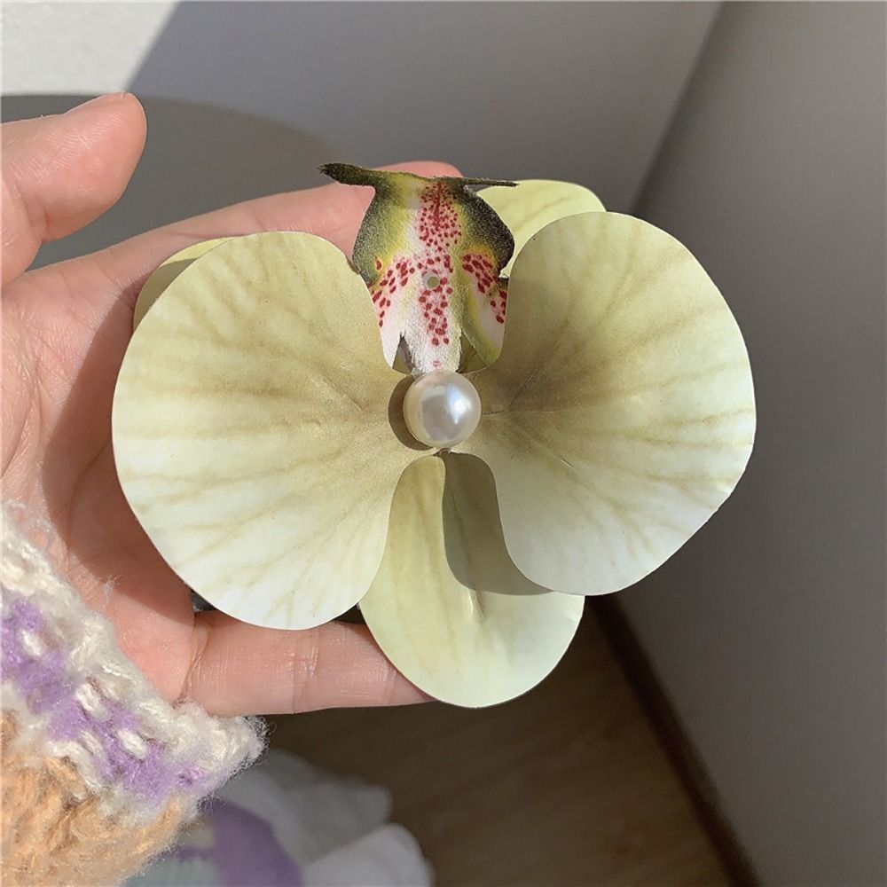 1Pcs Duckbill Clip Orchid Butt - đánh giá và giá Orchid Phalaenopsis