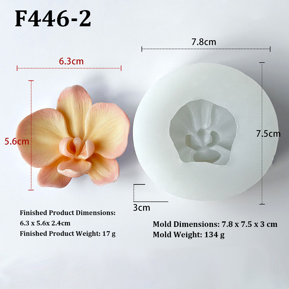 Phalaenopsis Orchid Flower-Sha - đánh giá và giá Orchid Phalaenopsis