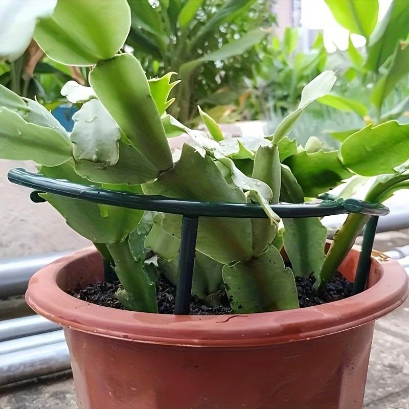 30-1PCS Plastic Plant Support  - đánh giá và giá Plant Parent Tools
