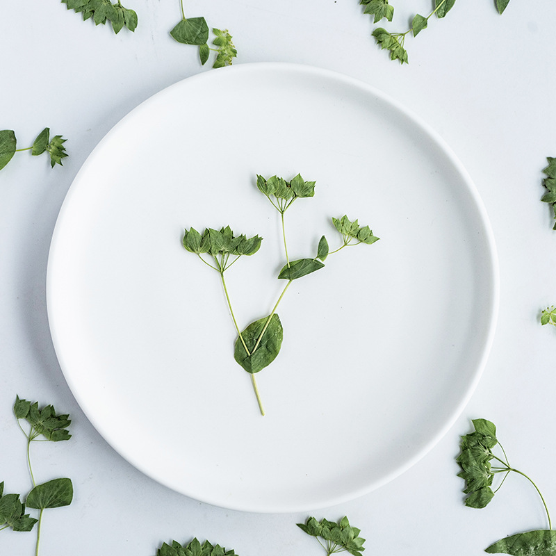 60Pcs Rabbit Ear Grass with Br - đánh giá và giá Plant Parent Sticker
