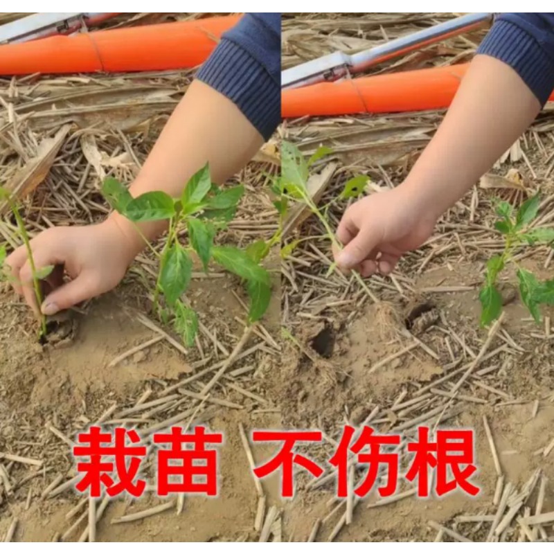 Agricultural Seedling Transpla - đánh giá và giá Plant Parent Tools