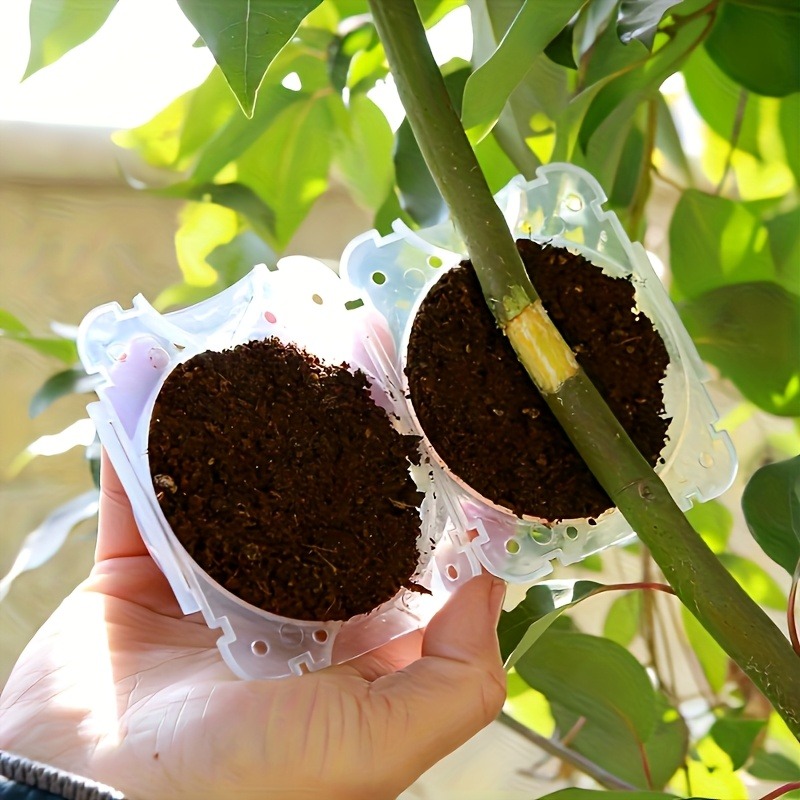 10Pcs High Pressure Plant Root - đánh giá và giá Plant Parent Tools