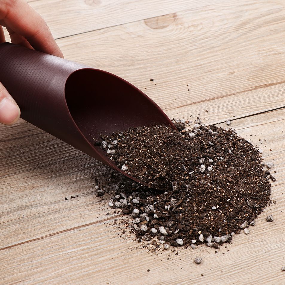 1PC Plastic Soil Shovel Cup Fo - đánh giá và giá Plant Parent Tools